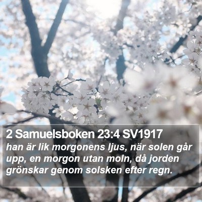 2 Samuelsboken 23:4 SV1917 Bible Verse Image