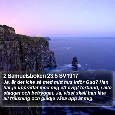 2 Samuelsboken 23:5 SV1917 Bible Verse Image