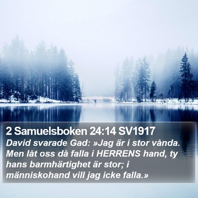 2 Samuelsboken 24:14 SV1917 Bible Verse Image