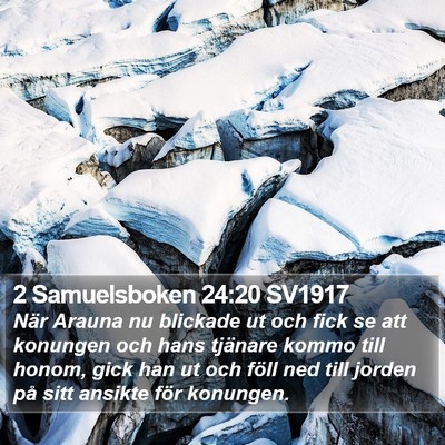 2 Samuelsboken 24:20 SV1917 Bible Verse Image