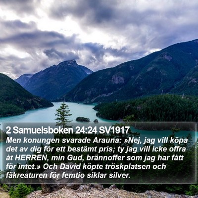 2 Samuelsboken 24:24 SV1917 Bible Verse Image