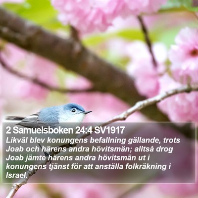 2 Samuelsboken 24:4 SV1917 Bible Verse Image