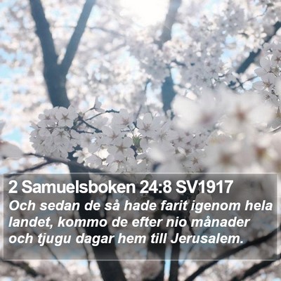2 Samuelsboken 24:8 SV1917 Bible Verse Image