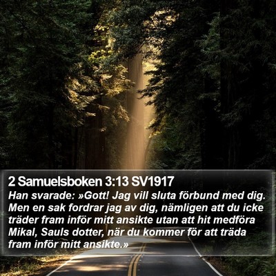 2 Samuelsboken 3:13 SV1917 Bible Verse Image