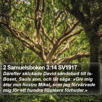 2 Samuelsboken 3:14 SV1917 Bible Verse Image