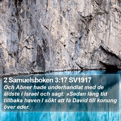 2 Samuelsboken 3:17 SV1917 Bible Verse Image