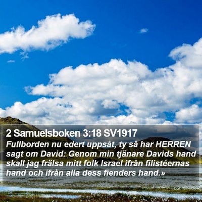 2 Samuelsboken 3:18 SV1917 Bible Verse Image