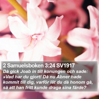 2 Samuelsboken 3:24 SV1917 Bible Verse Image