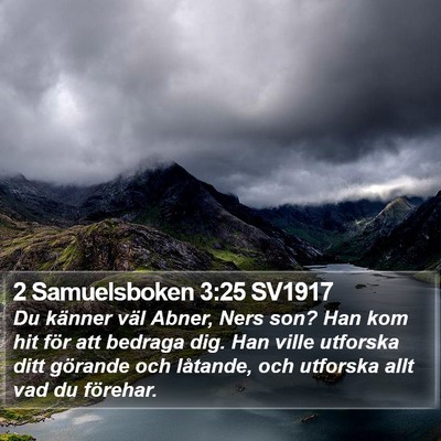 2 Samuelsboken 3:25 SV1917 Bible Verse Image