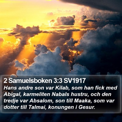 2 Samuelsboken 3:3 SV1917 Bible Verse Image