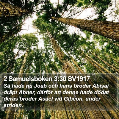 2 Samuelsboken 3:30 SV1917 Bible Verse Image