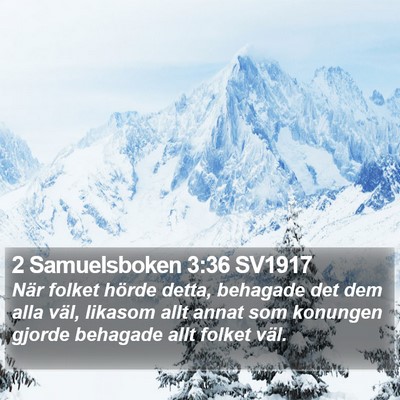 2 Samuelsboken 3:36 SV1917 Bible Verse Image