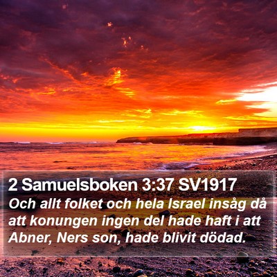 2 Samuelsboken 3:37 SV1917 Bible Verse Image
