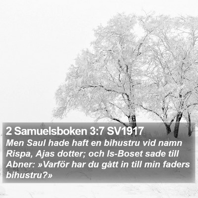 2 Samuelsboken 3:7 SV1917 Bible Verse Image