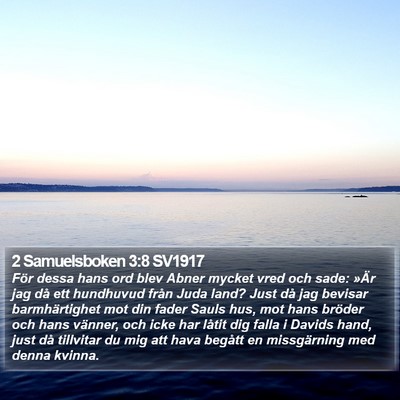 2 Samuelsboken 3:8 SV1917 Bible Verse Image