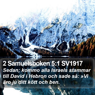 2 Samuelsboken 5:1 SV1917 Bible Verse Image