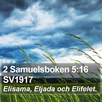 2 Samuelsboken 5:16 SV1917 Bible Verse Image