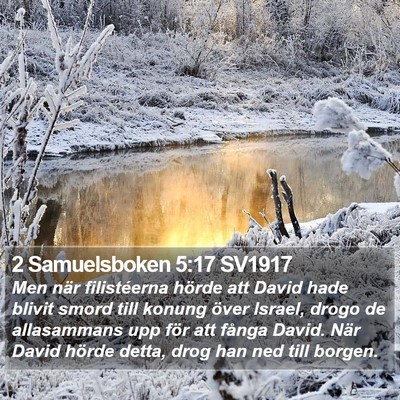 2 Samuelsboken 5:17 SV1917 Bible Verse Image