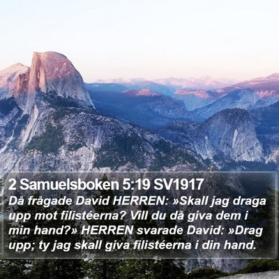 2 Samuelsboken 5:19 SV1917 Bible Verse Image
