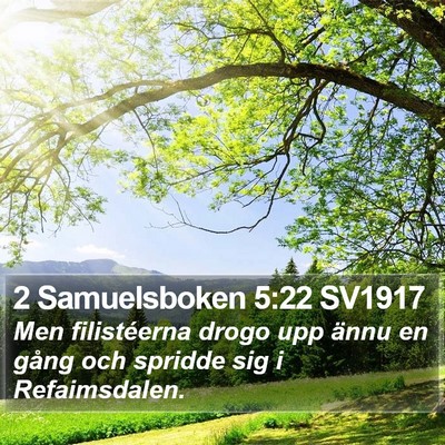 2 Samuelsboken 5:22 SV1917 Bible Verse Image