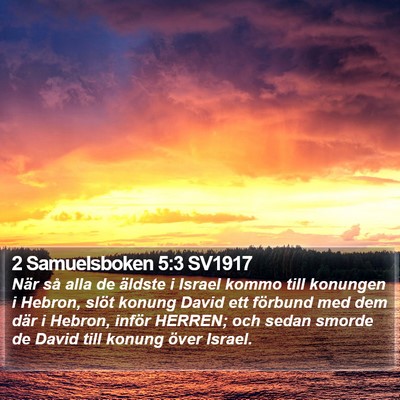 2 Samuelsboken 5:3 SV1917 Bible Verse Image