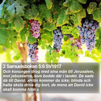 2 Samuelsboken 5:6 SV1917 Bible Verse Image