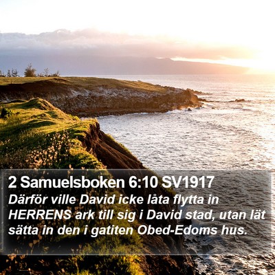 2 Samuelsboken 6:10 SV1917 Bible Verse Image