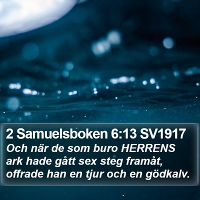 2 Samuelsboken 6:13 SV1917 Bible Verse Image