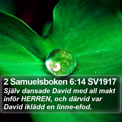 2 Samuelsboken 6:14 SV1917 Bible Verse Image