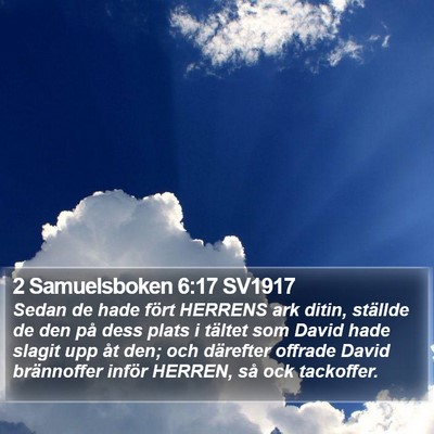 2 Samuelsboken 6:17 SV1917 Bible Verse Image