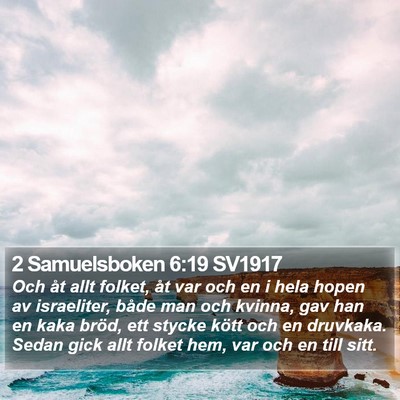2 Samuelsboken 6:19 SV1917 Bible Verse Image