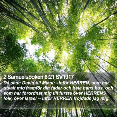 2 Samuelsboken 6:21 SV1917 Bible Verse Image