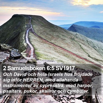 2 Samuelsboken 6:5 SV1917 Bible Verse Image