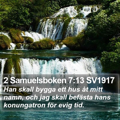 2 Samuelsboken 7:13 SV1917 Bible Verse Image