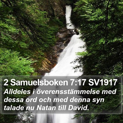 2 Samuelsboken 7:17 SV1917 Bible Verse Image