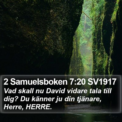 2 Samuelsboken 7:20 SV1917 Bible Verse Image