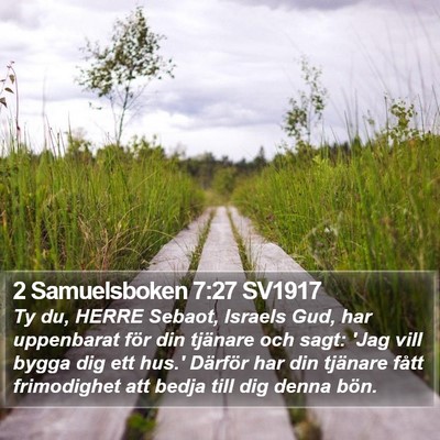2 Samuelsboken 7:27 SV1917 Bible Verse Image