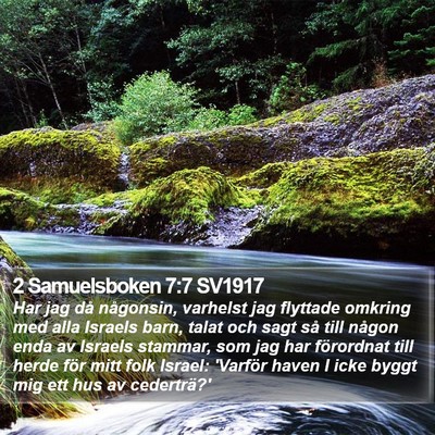 2 Samuelsboken 7:7 SV1917 Bible Verse Image