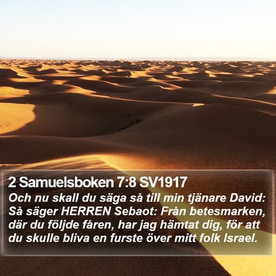 2 Samuelsboken 7:8 SV1917 Bible Verse Image