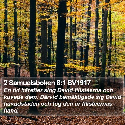 2 Samuelsboken 8:1 SV1917 Bible Verse Image