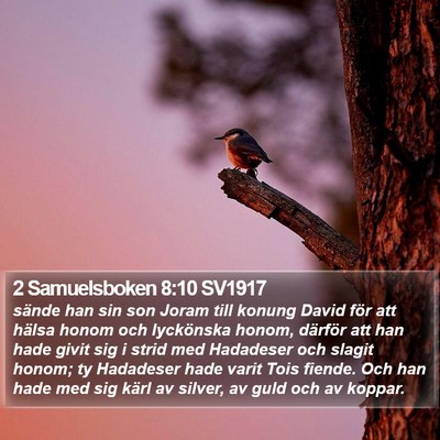 2 Samuelsboken 8:10 SV1917 Bible Verse Image