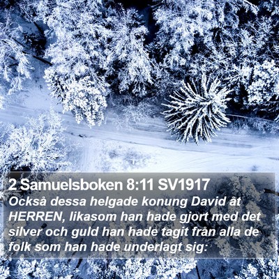 2 Samuelsboken 8:11 SV1917 Bible Verse Image