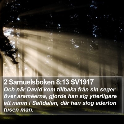 2 Samuelsboken 8:13 SV1917 Bible Verse Image