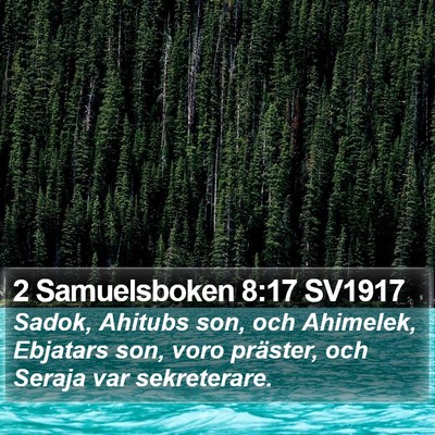 2 Samuelsboken 8:17 SV1917 Bible Verse Image