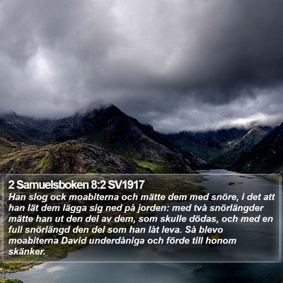 2 Samuelsboken 8:2 SV1917 Bible Verse Image