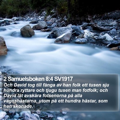 2 Samuelsboken 8:4 SV1917 Bible Verse Image
