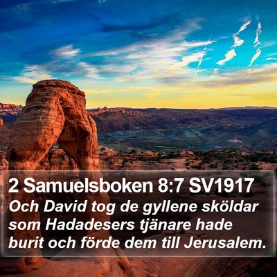 2 Samuelsboken 8:7 SV1917 Bible Verse Image