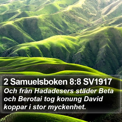 2 Samuelsboken 8:8 SV1917 Bible Verse Image
