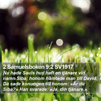 2 Samuelsboken 9:2 SV1917 Bible Verse Image