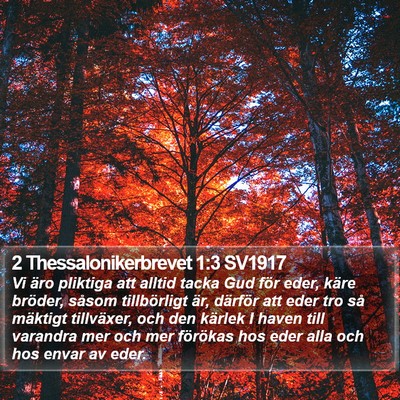 2 Thessalonikerbrevet 1:3 SV1917 Bible Verse Image